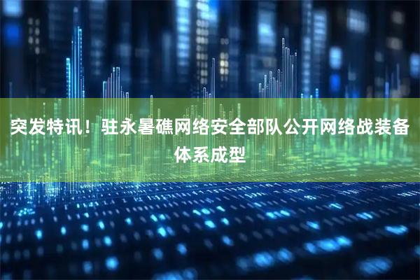 突发特讯！驻永暑礁网络安全部队公开网络战装备体系成型