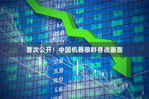 首次公开！中国机器狼群巷战画面