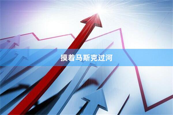 摸着马斯克过河